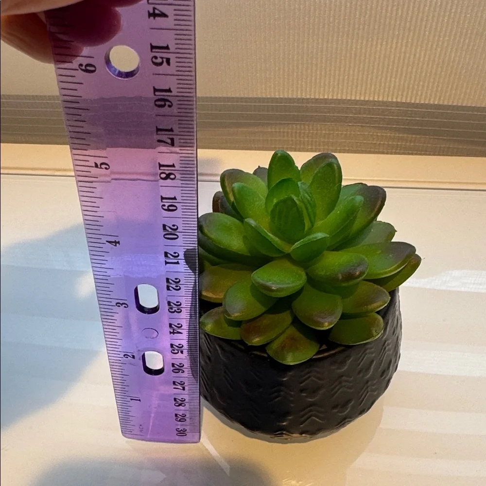 DISNEY PARKS MICKEY HOMESTEAD ARTIFICIAL SUCCULENT POTTED PLANT